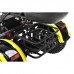 Электротрицикл Citycoco Siberton PRO TRIKE 3000W Электротрицикл Citycoco Siberton PRO TRIKE 3000W
