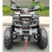 Квадроцикл Motax ATV Grizlik T 200