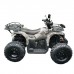 Квадроцикл GRIZLIK T200 LUX Квадроцикл GRIZLIK T200 LUX
