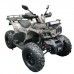 Квадроцикл GRIZLIK T200 LUX Квадроцикл GRIZLIK T200 LUX