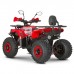 Квадроцикл Dazzle ATV125 Комплектация 1 Квадроцикл Dazzle ATV125 Комплектация 1