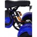 Трехколесный электроскутер Citycoco Trike GT X6 Трехколесный электроскутер Citycoco Trike GT X6