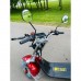 Электроскутер Citycoco Kolyan X12 PRO Trike (6000W)