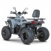 Квадроцикл Dazzle ATV200 Комплектация 2 Квадроцикл Dazzle ATV200 Комплектация 2