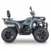 Квадроцикл Dazzle ATV200 Комплектация 2 Квадроцикл Dazzle ATV200 Комплектация 2
