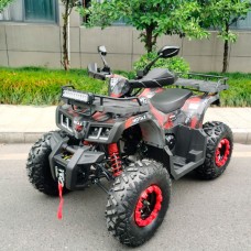 Квадроцикл Motax ATV Grizlik T200 LUX