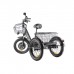 Трёхколёсный электровелосипед GREEN CITY e-ALFA Trike